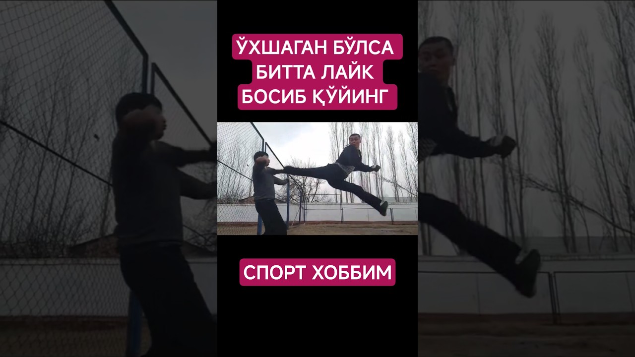 #shorts #reformauz #fypシ #fypシ゚viral #fighting #kungfu #sports