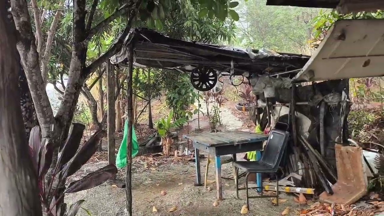  [ATUALIZAÇÃO DO CANAL][ FAZENDA SÃO JOÃO ][ FAZENDA POÇO VERDE ][ ESTAÇÃO ECOLÓGICA DE MURICI -AL ]