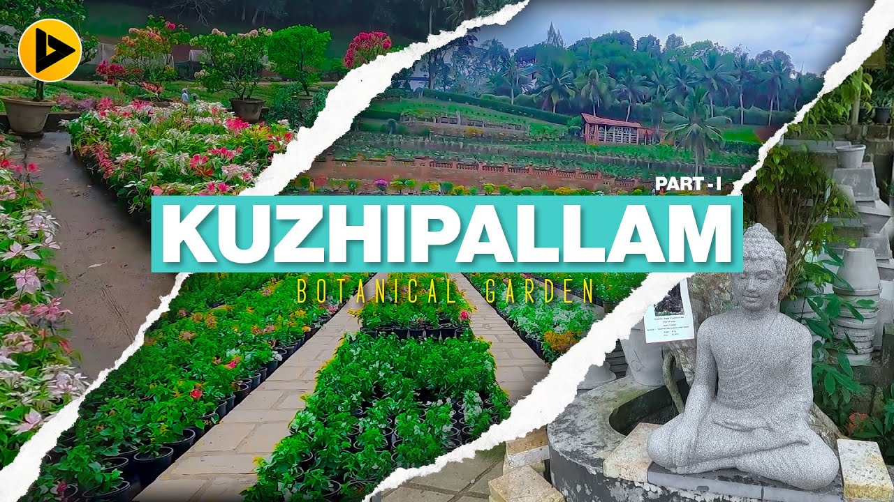 40 ഏക്കറിന്റെ വിസ്മയ ഭൂമിയും 4 ലക്ഷത്തിന്റെ ബോൻസൈയും 🔥| Kuzhipallam Botanical Garden 🤩
