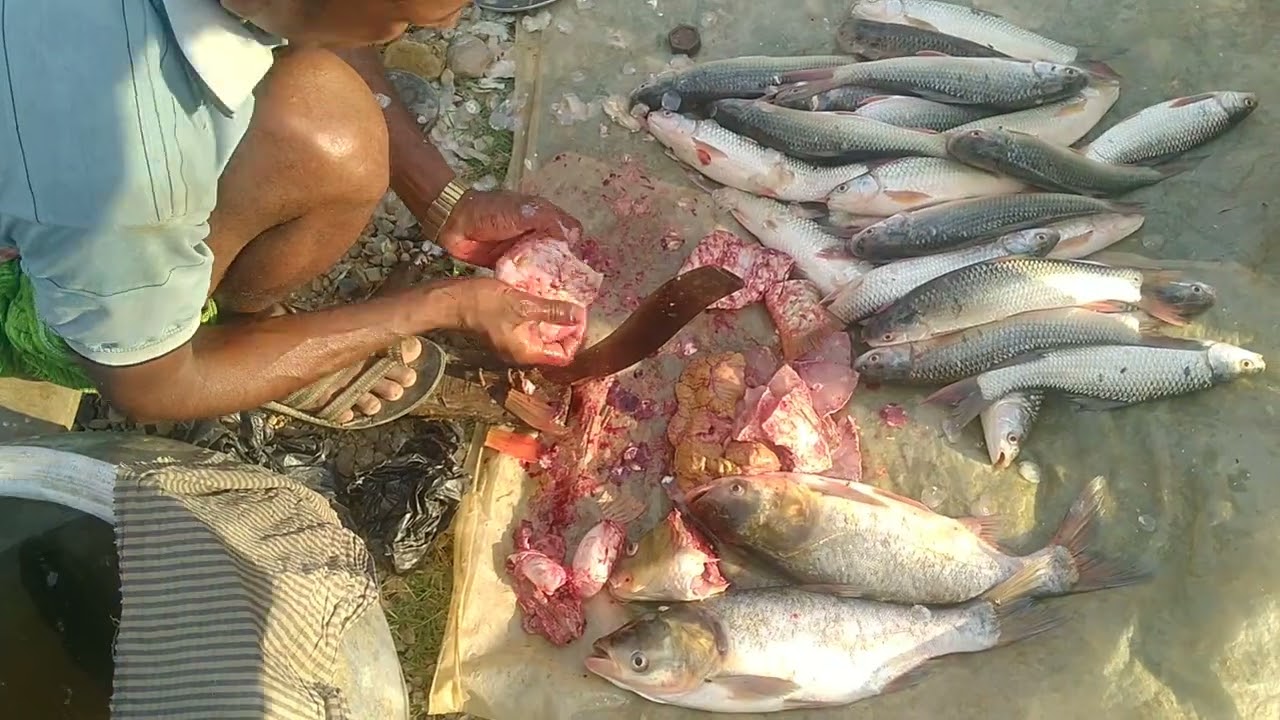 🐟 fish market Nepal #fishing #fish #how to 🐠 fish cutting skill market bazar Nepal#shorts #subscribe