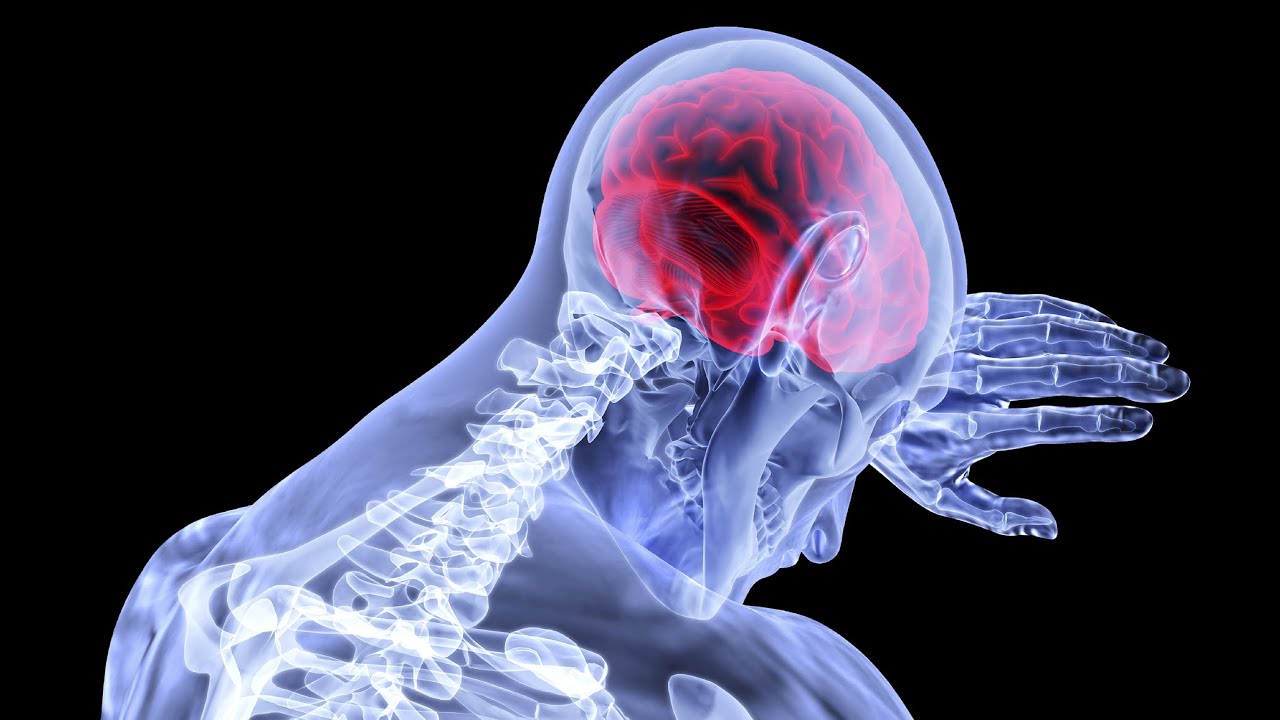 EL PODER DEL CEREBRO HUMANO Documentales En Espa&ntilde;ol ,discovery en espa&ntilde;ol