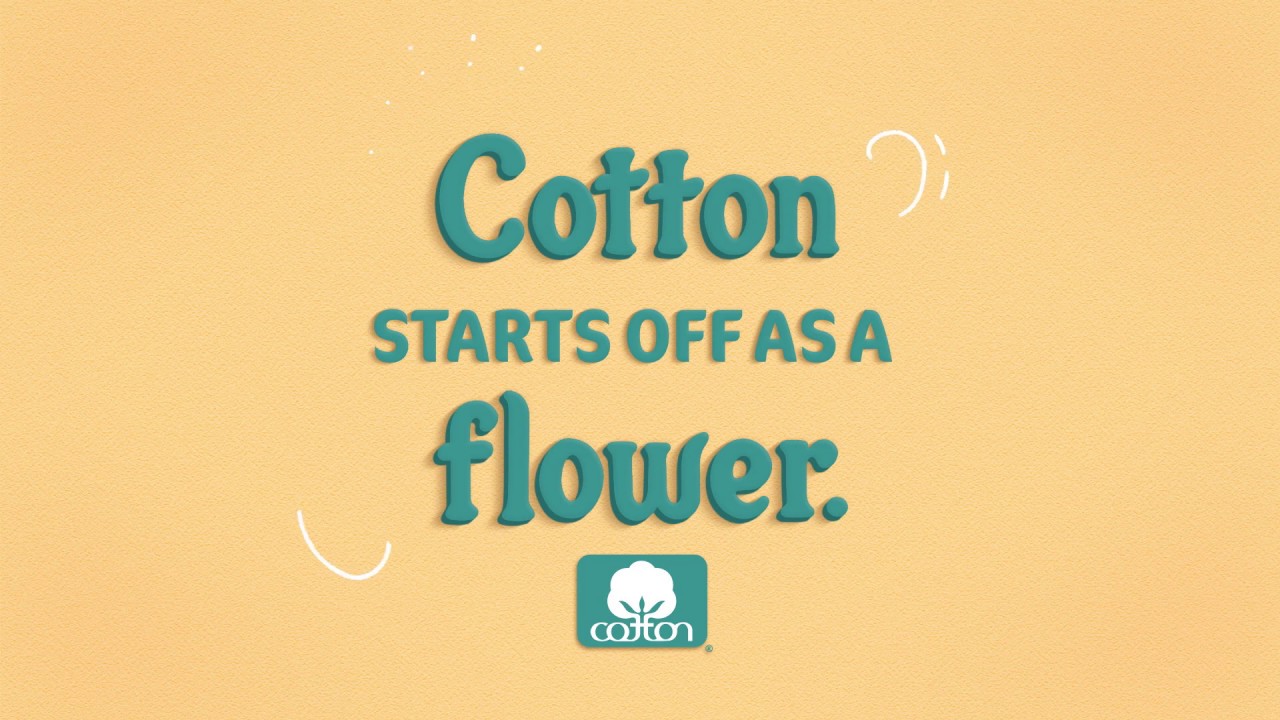 Cotton | Where Do Your Clothes Come From?