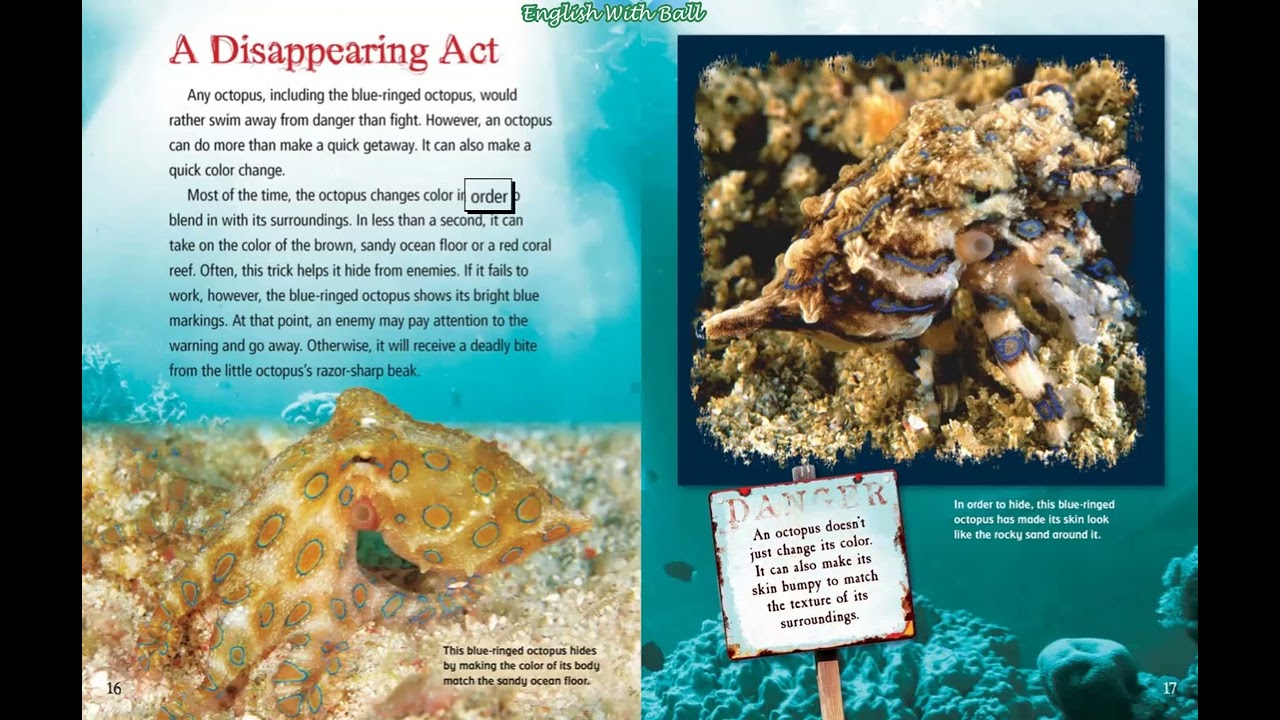 Blue-Ringed Octopus: Small but Deadly