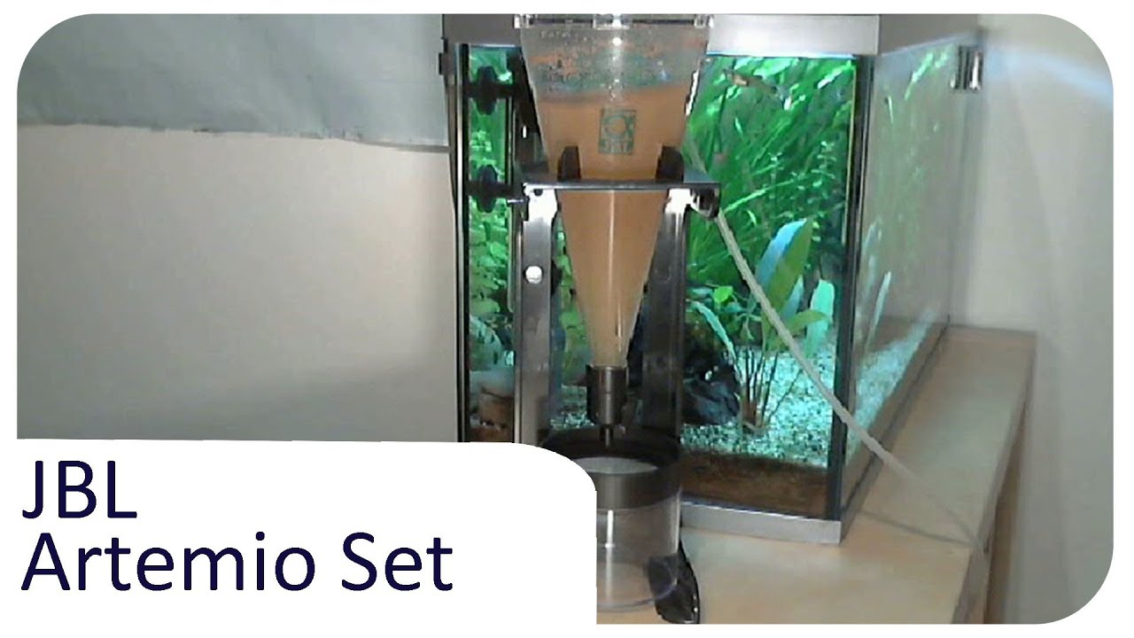 Artemia-Aufzucht - JBL Artemio Set