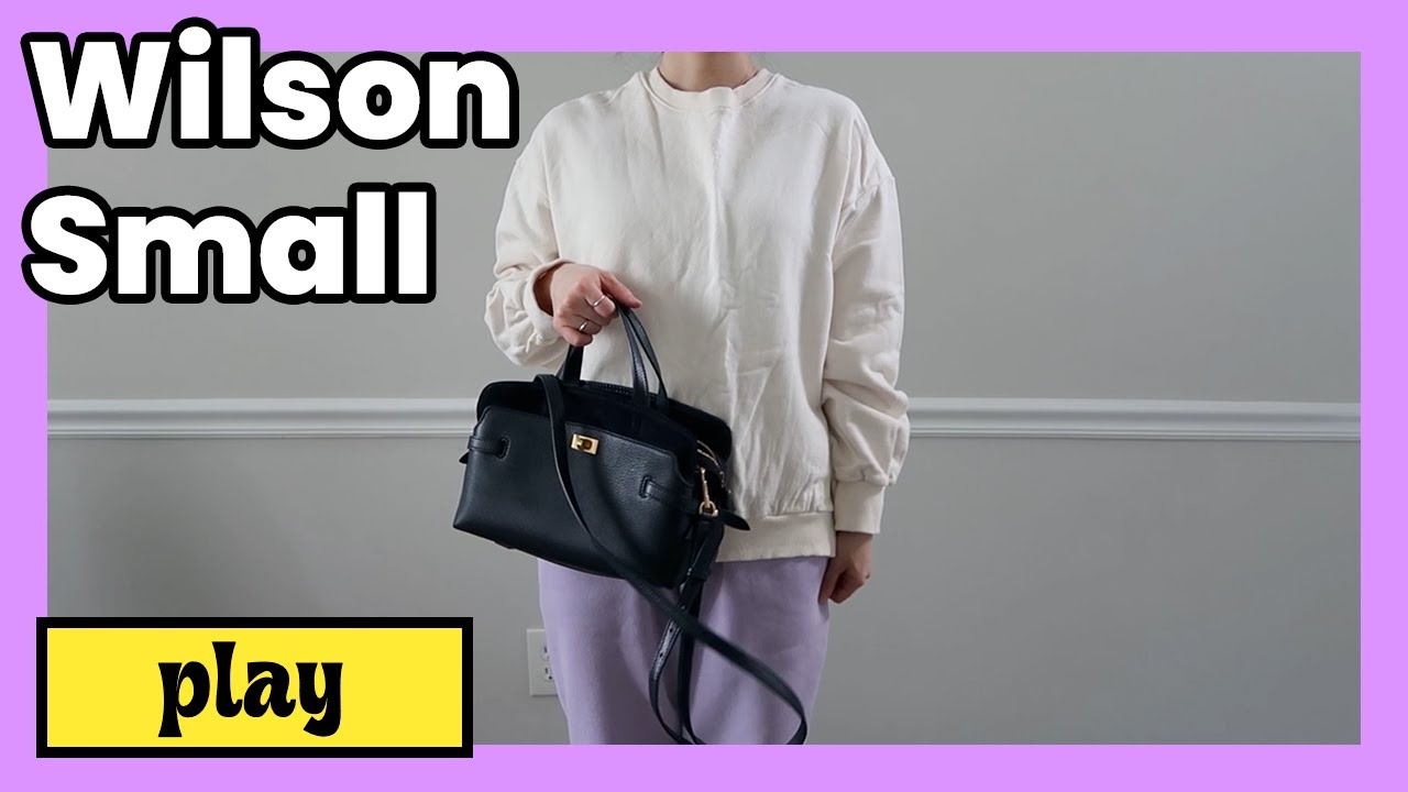 asmr / anya hindmarch wilson small 2