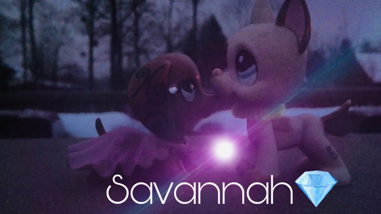 Savannah 💎 (Epizoda 2. Láska na první pohled)