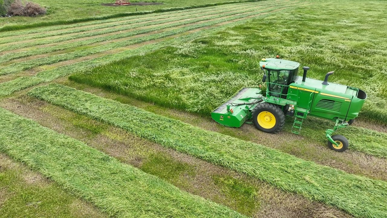 A Crop for the Record Books!