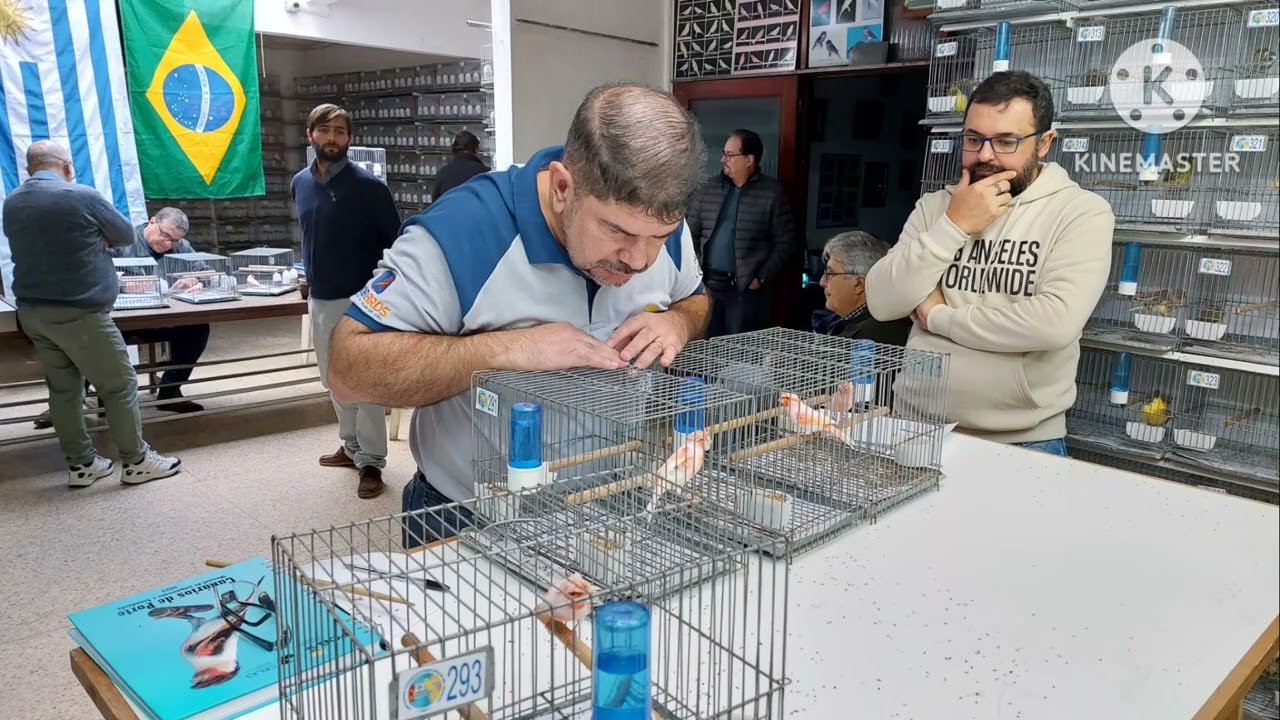 Hablando de aves. (Apertura ACRU 2024).