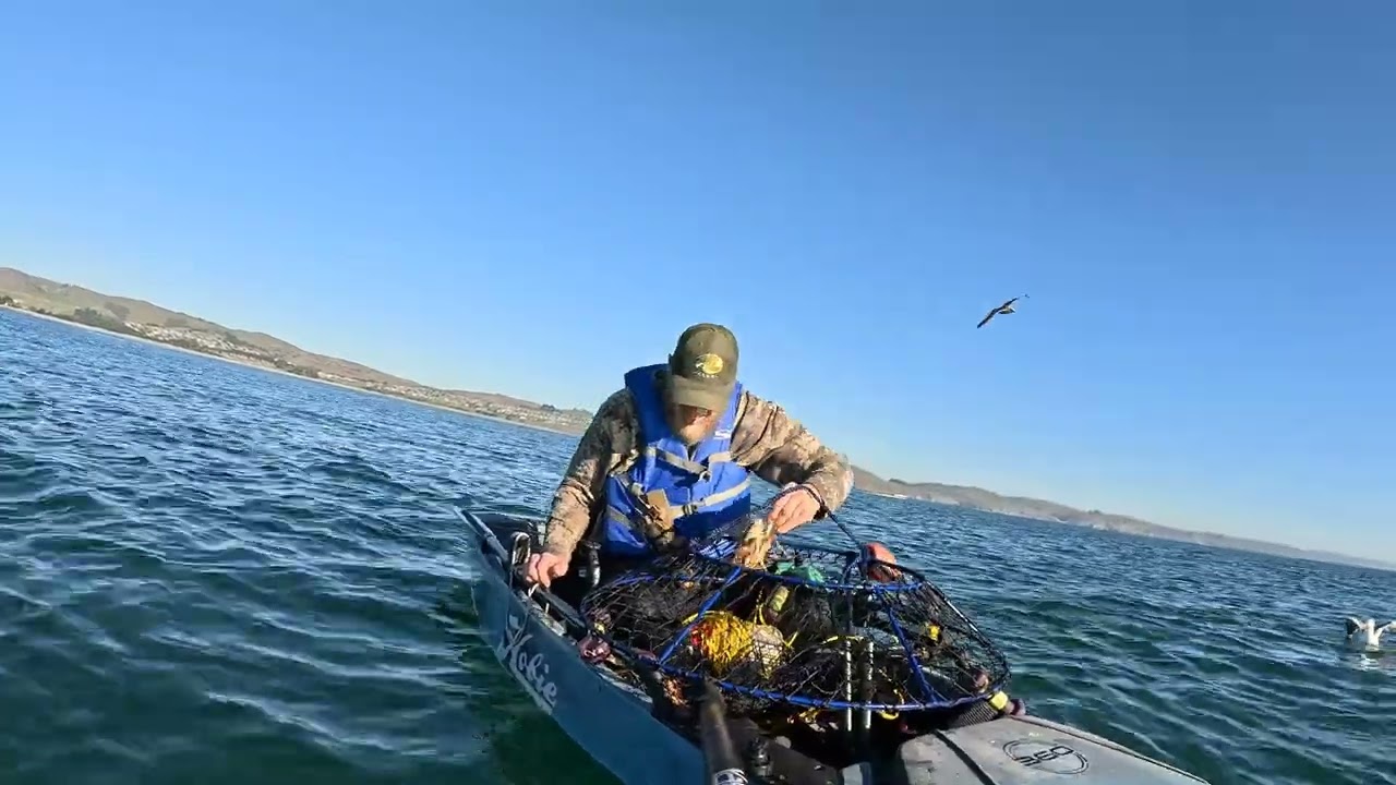 Bodega Bay Gauge  Buster Crabbing 1/16/26