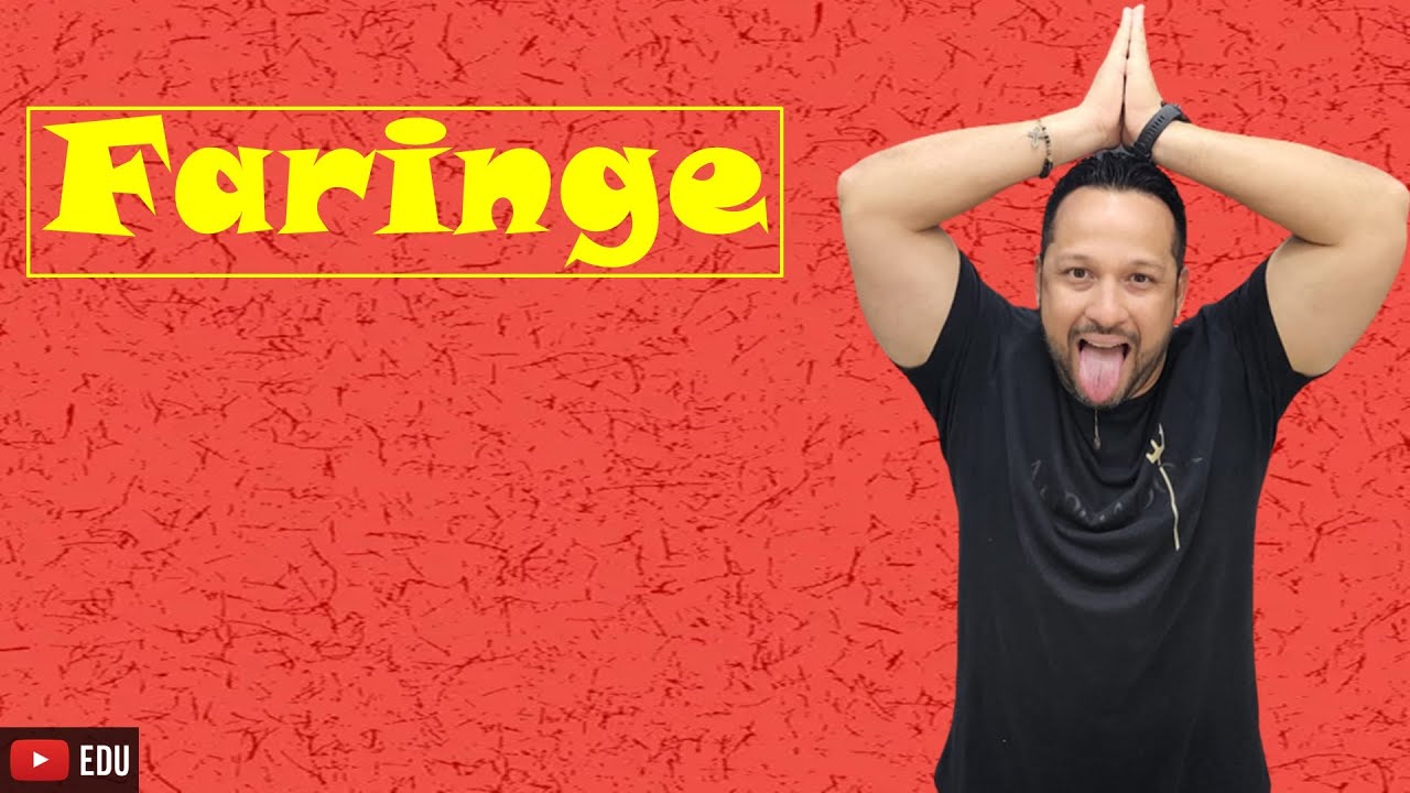 Faringe - Orofaringe - Caracter&iacute;sticas e Fun&ccedil;&atilde;o - Sistema Digest&oacute;rio - Fisiologia Humana - Aula 6