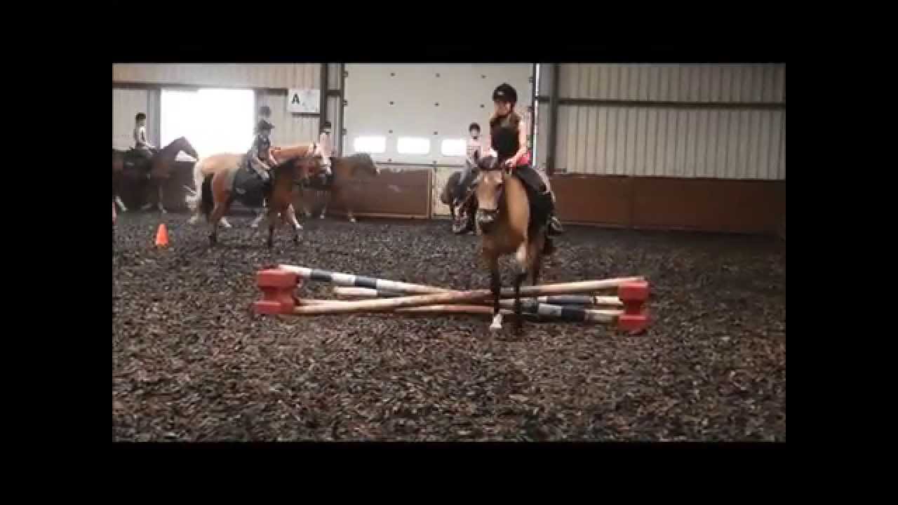 Ponykamp 2013 manege Prinsenbankhoeve kamp 2