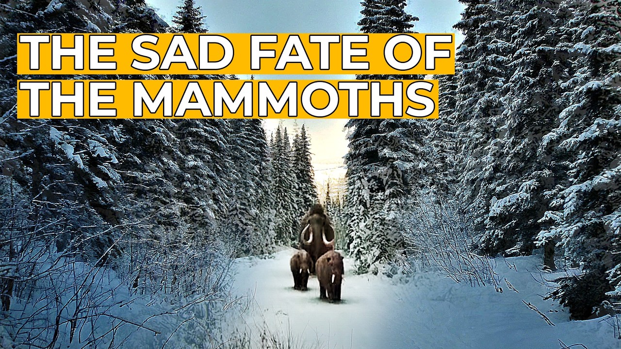 The Mammoth - Titan of the Ice Age: Part 2 | FD Ancient History