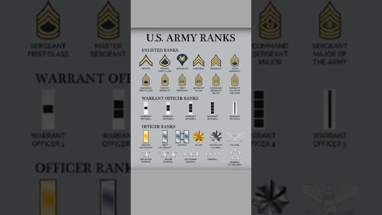 US Army ranks #unitedstates #army #ranks #ranksquad #ranking #armylovers