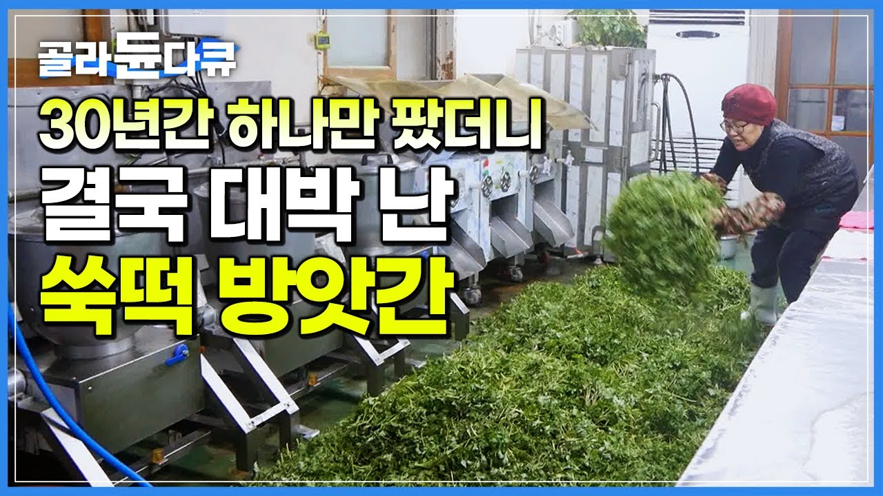 “물량 맞추려고 밭까지 샀어요” 30년 쑥떡 외길 인생 해남의 작은 떡 방앗간┃극한직업┃#골라듄다큐