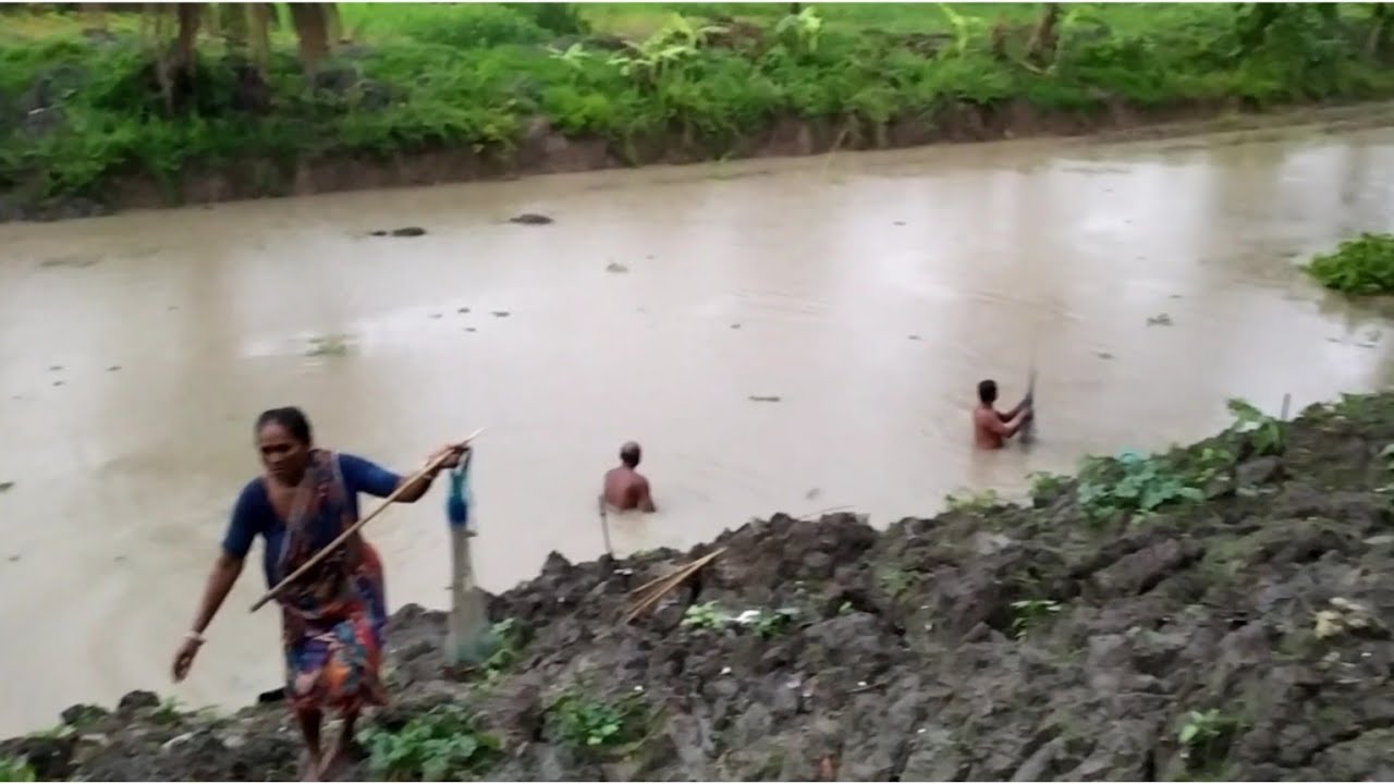 বৃষ্টির নতুন জলে সবাই মাছ ধরছে 🐟🐟 village fishing video || fishing video ||