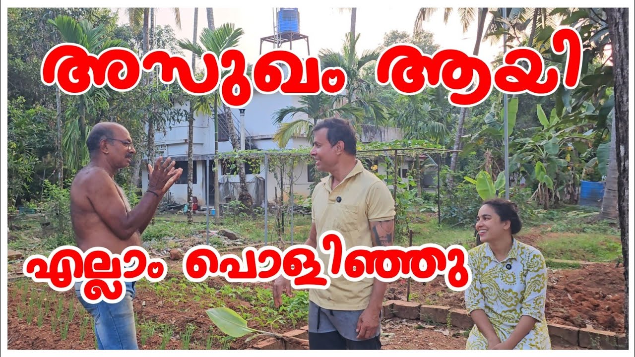 അസുഖം വന്നാൽ എന്താ ചെയ്യാ....  Family vlog /Agriculture tips /A day in my life 