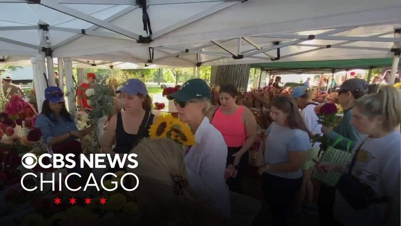 Chicago's Green City Market celebrates 25 years