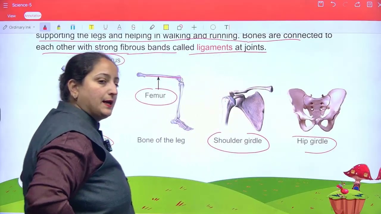 Science 5 ch 3