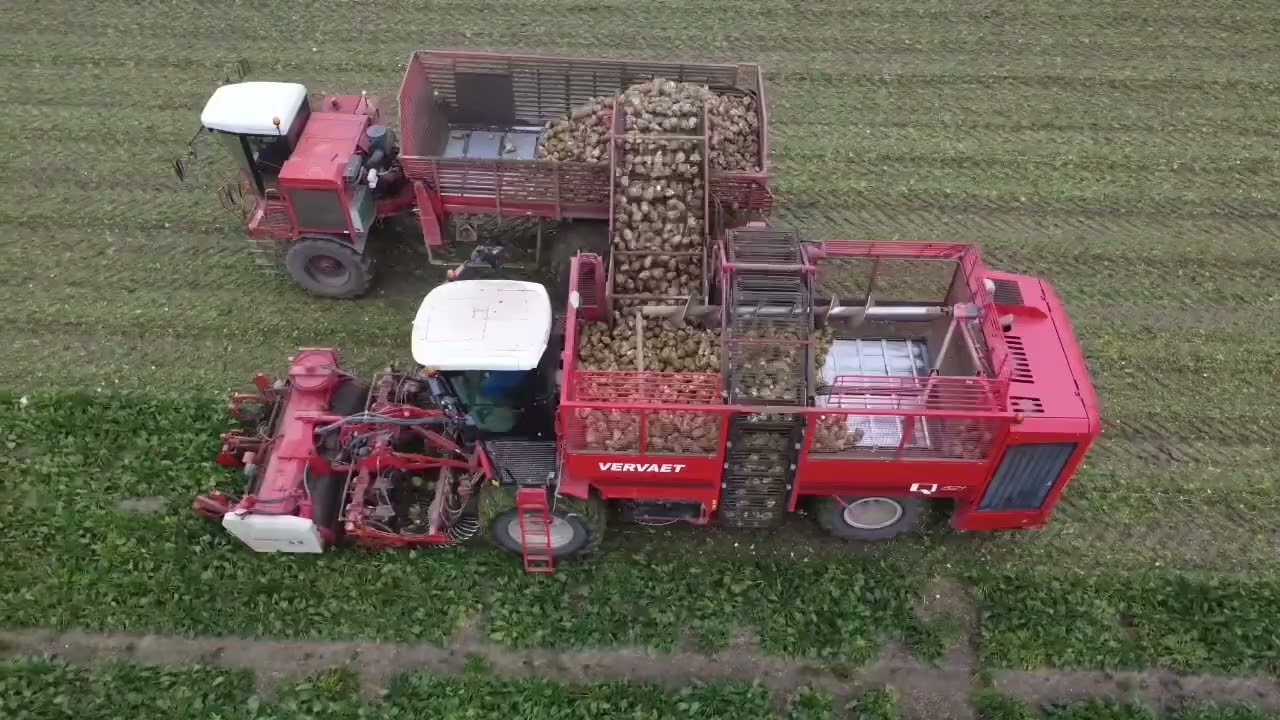 Bieten rooien met de Verveat Q621 harvest 2025