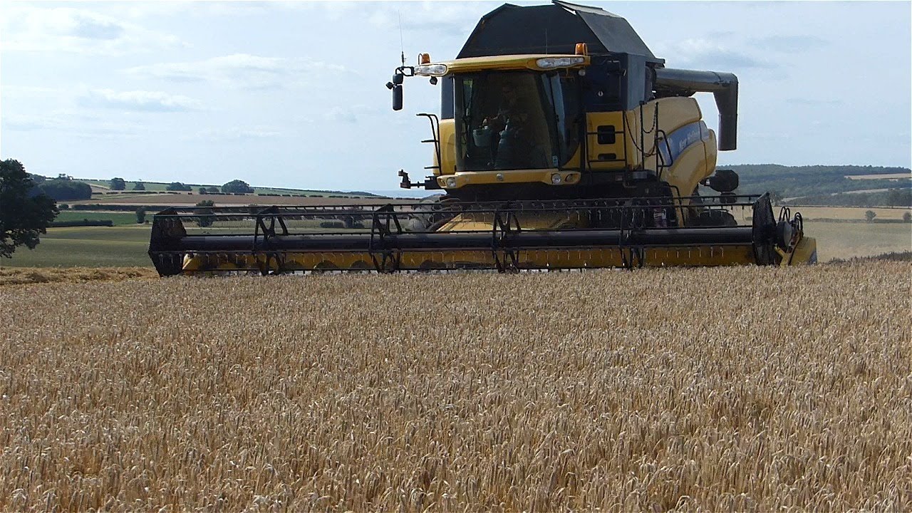 New Holland CR980 and JCB 3200 Winter Barley Harvest 2020