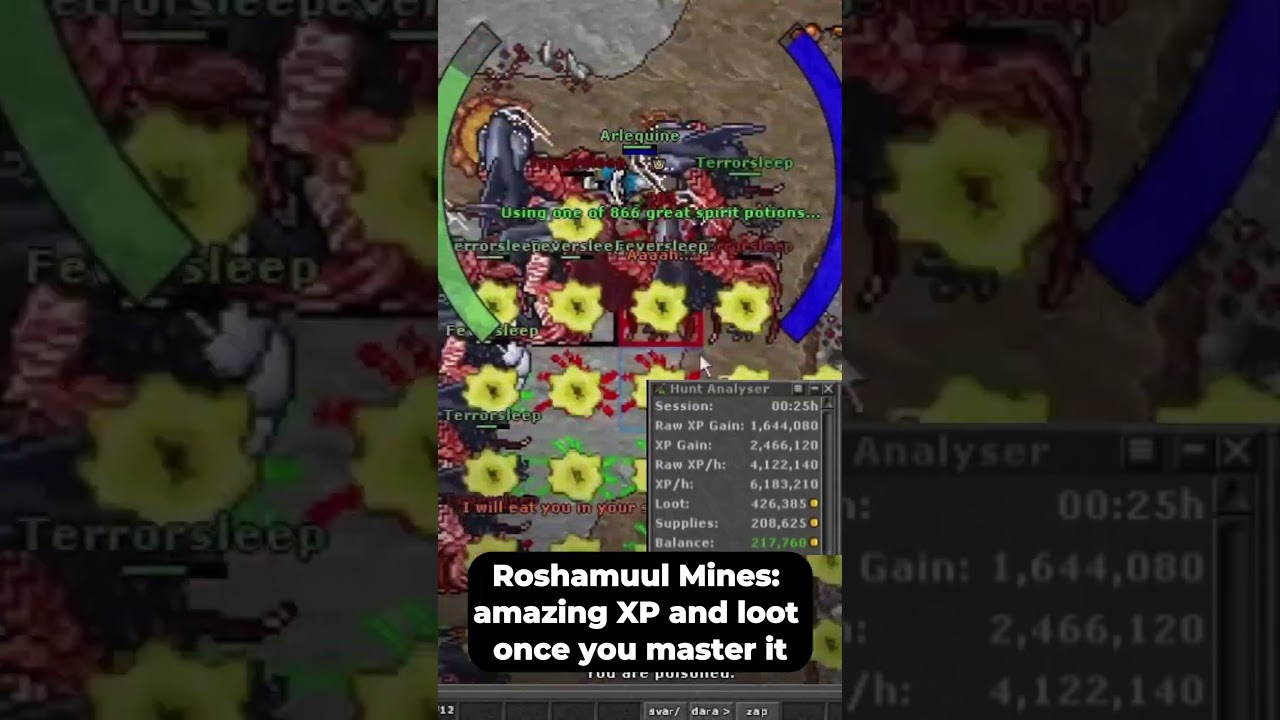 Top 5 Hunts for Royal Paladins (400&ndash;500) | Quick Guide!