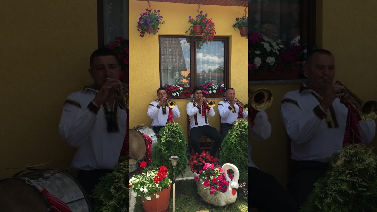 Fanfara Mugurii Siretului-live 2021(Usor puiule,usor,Acasă-i România,Bradului la munte-i place!)