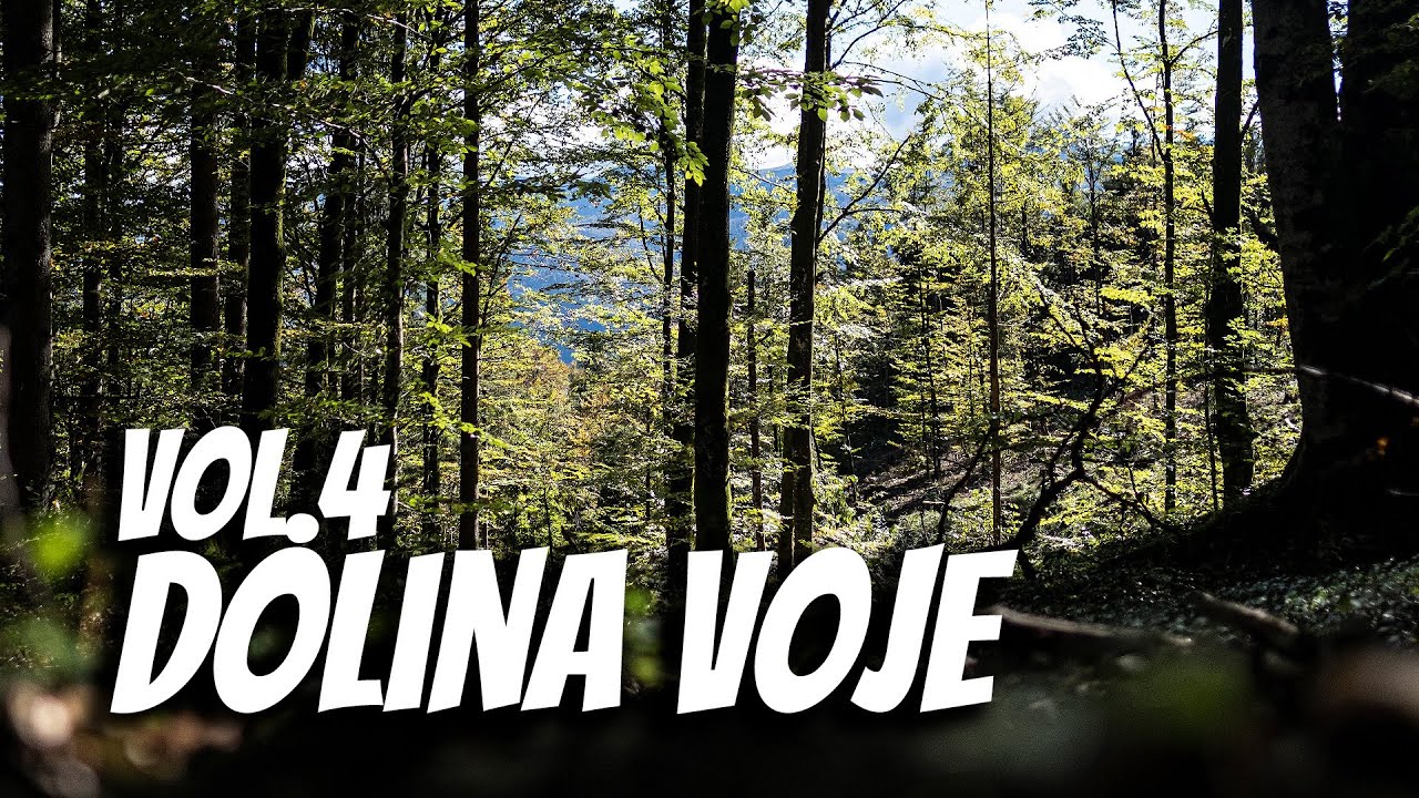 Bolexing Vol.4 - Dolina Voje