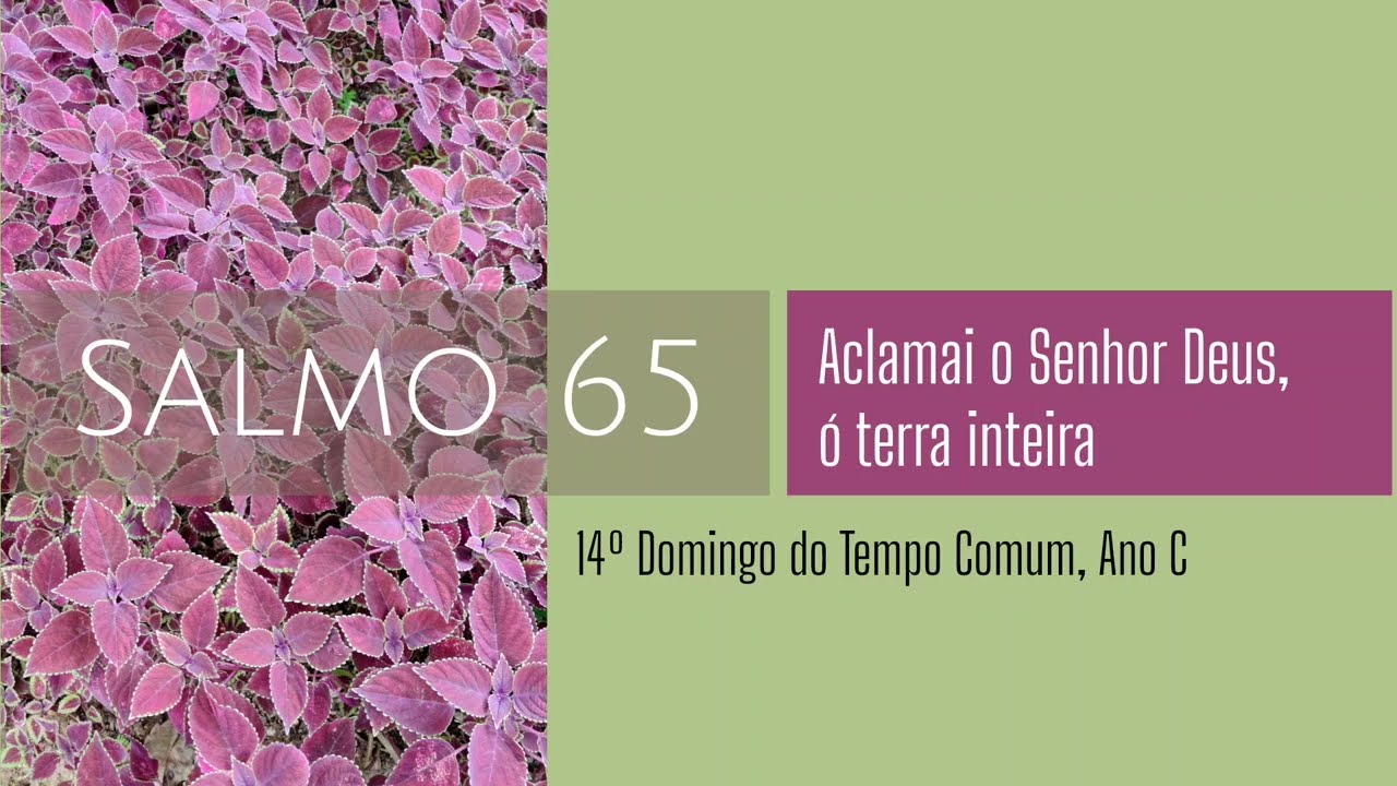 Salmo 65(66) - 14º Domingo do Tempo Comum, Ano C - Aclamai o Senhor Deus, ó terra inteira
