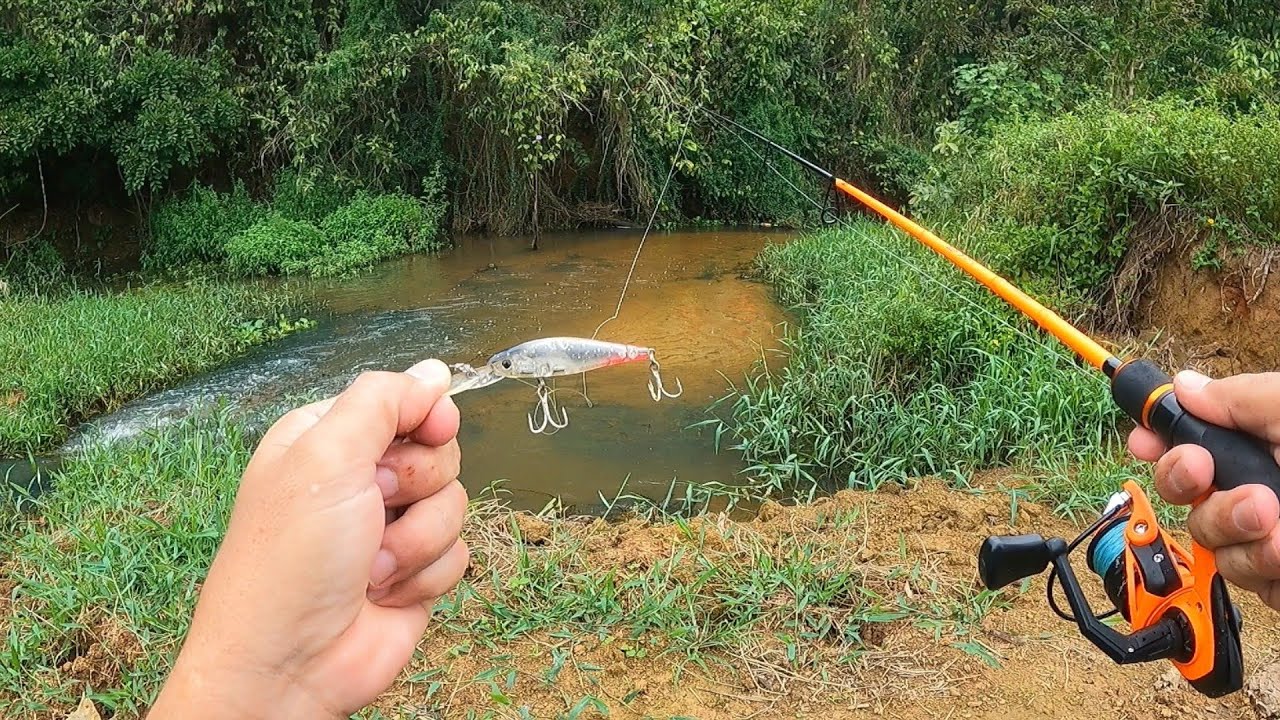 O MOLINETE CANTOU NA PESCARIA DE BARRANCO. Primeira de 2024.