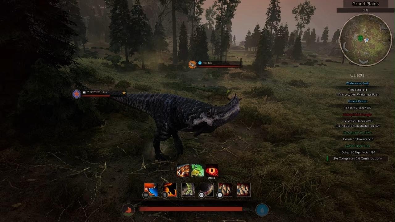 Chickens first hunt
