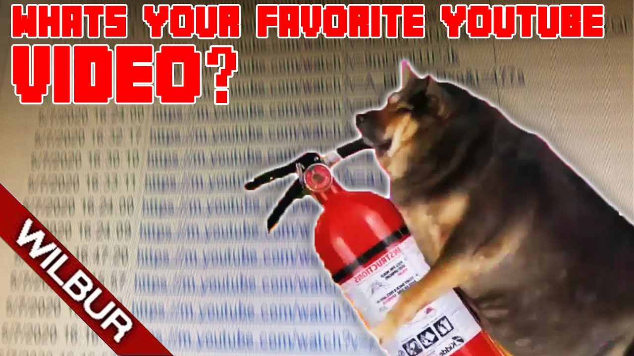 I Asked 5000 People to Send me their Favorite Youtube Video