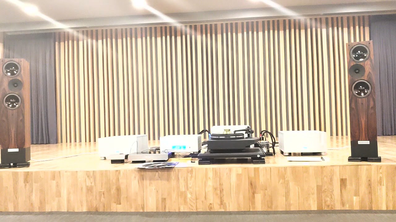 14 LivingVoice IBX-R3 + Kuzma Stabi R + Ypslon VPS -100 + PST-100MK II + AELIUS II Monoblock