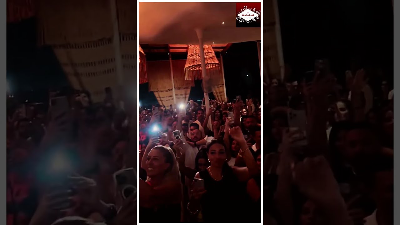 هيفاء وهبى حفلة الساحل