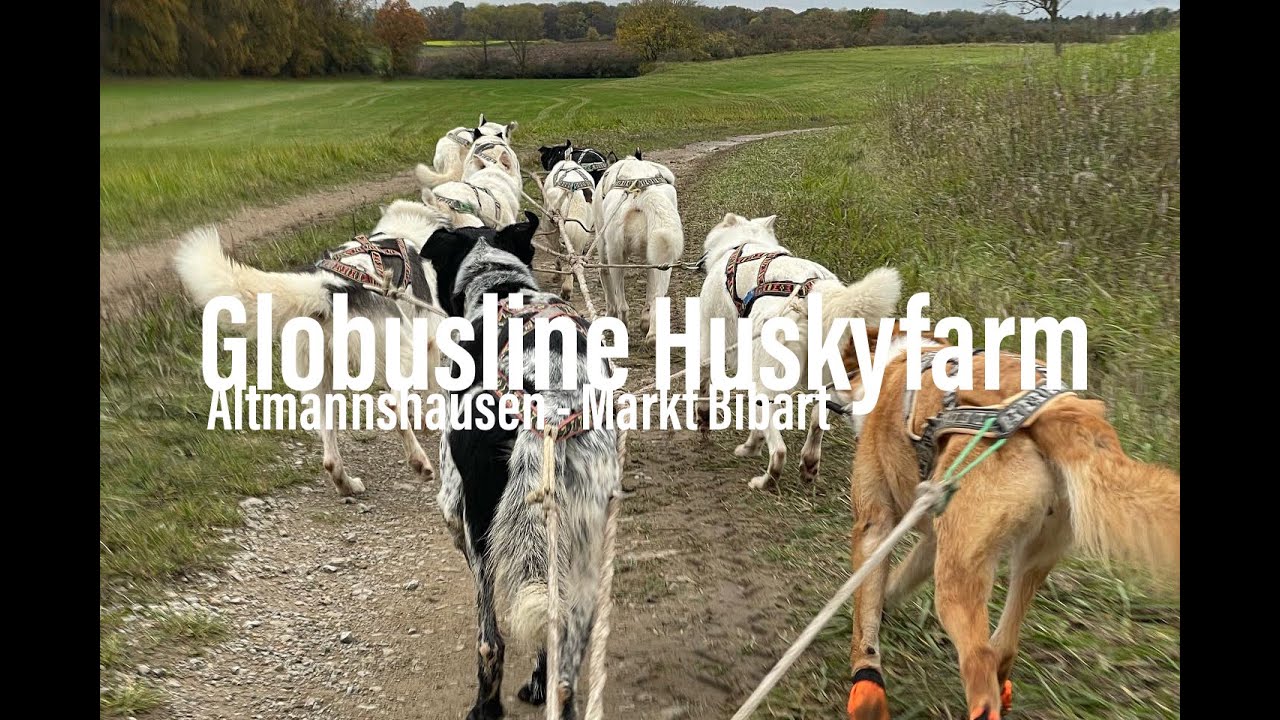 Globusline Huskyfarm Altmannshausen | Natascha onAir