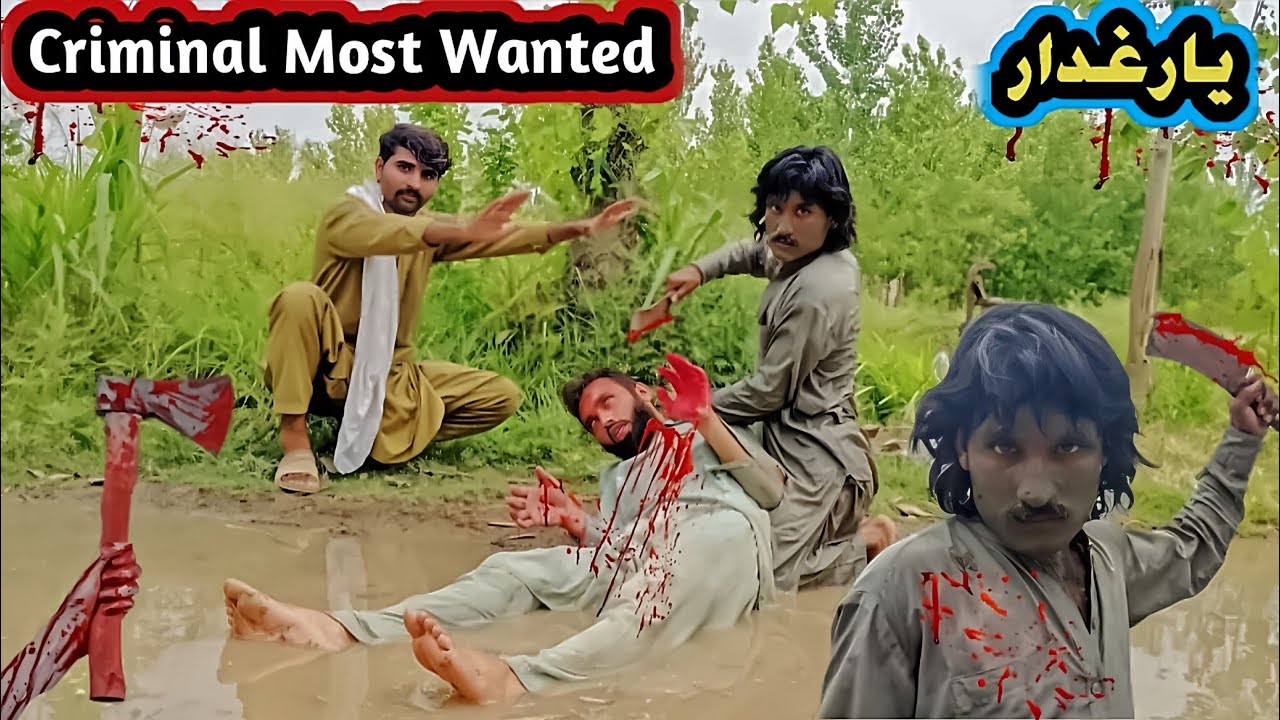 Criminal Most Wanted Yar Ghadar || New  Pashto Islahy Sabaq Amoz Video Drama 2025 By Adil kpk vines