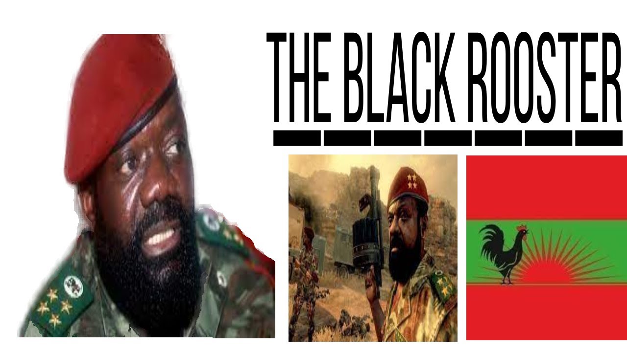 Jonas Savimbi Rebel, Revolutionary