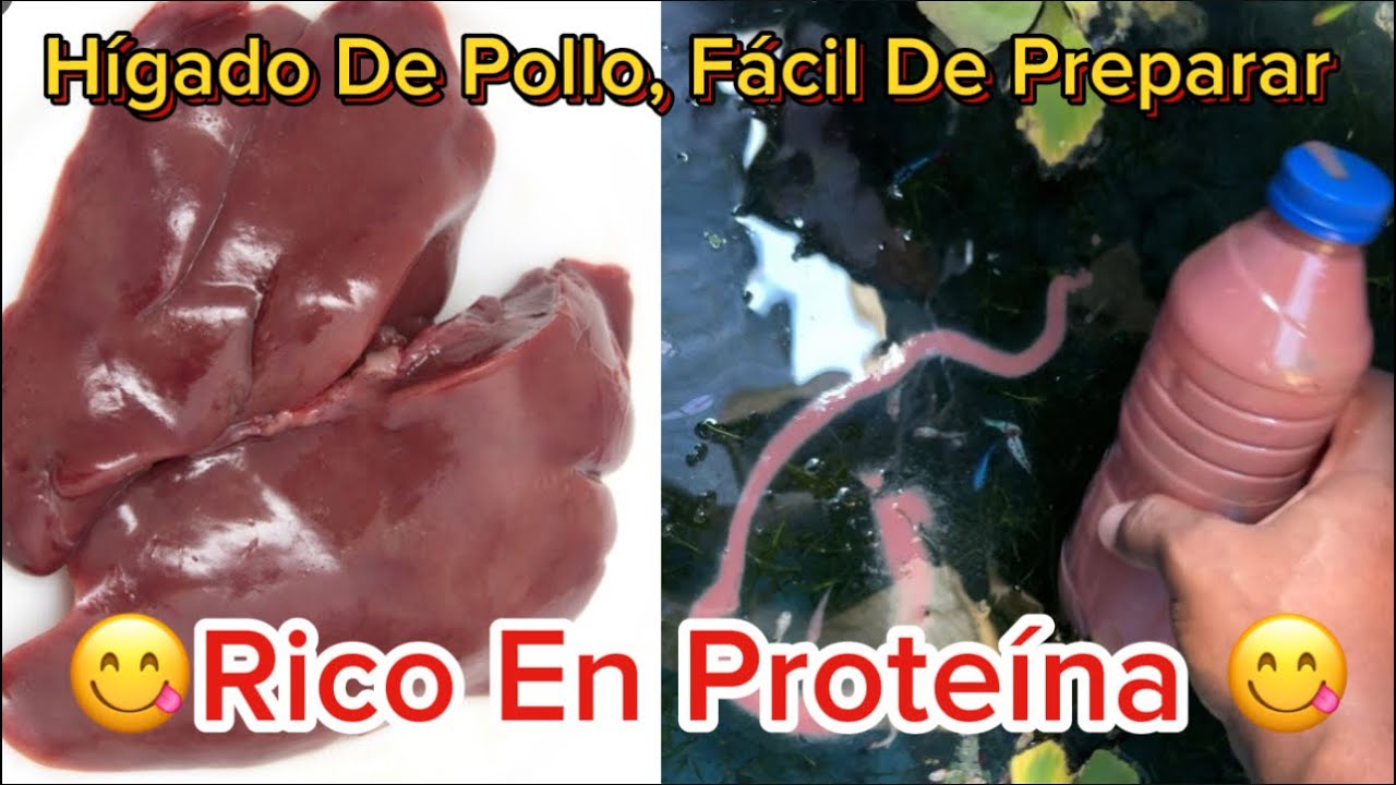 Preparar Hígado De Pollos Para Bettas #beautiful #bettas #tropicalfish #guppyfish #fish #fishing