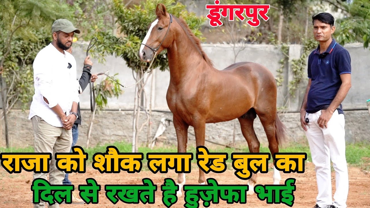 देवली लाइन,कन्हैया का पोता विजय देव का राजा बेटा