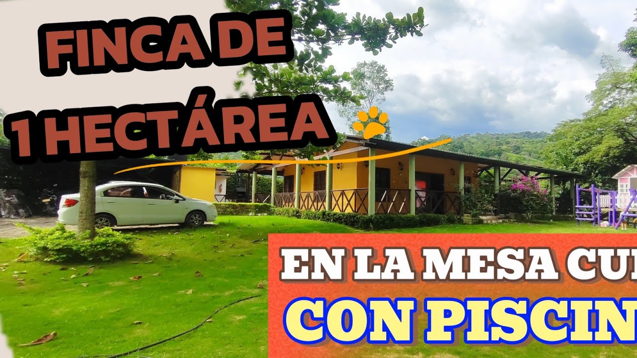 vendido 