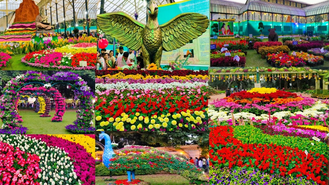 Lalbagh Flower Show 2025 | Namma Bengaluru Biggest Flower Show | Republic Day Flower Show at Lalbagh
