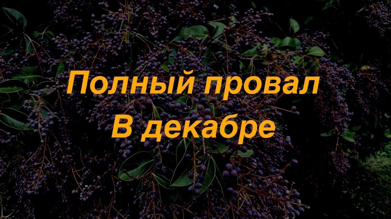 Как Я Выступала На Итальянском Конгрессе Для Врачей Узнав Об Этом За Две Недели До Выступления.