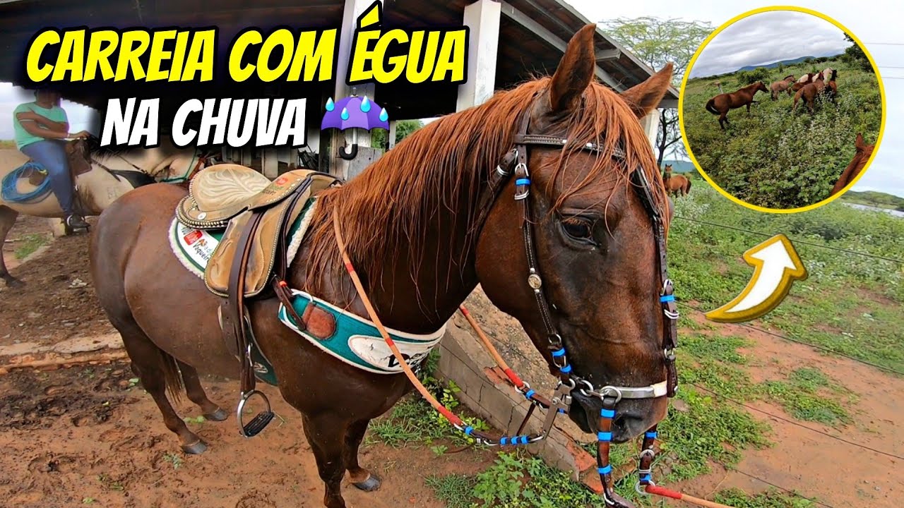 FOMOS PEGAR UMA ÉGUA PRA IR NA CAVALGADA DEBAIXO DE CHUVA CAREIRA DEMAIS CONFIRAM O MOIDO VAQUEROS