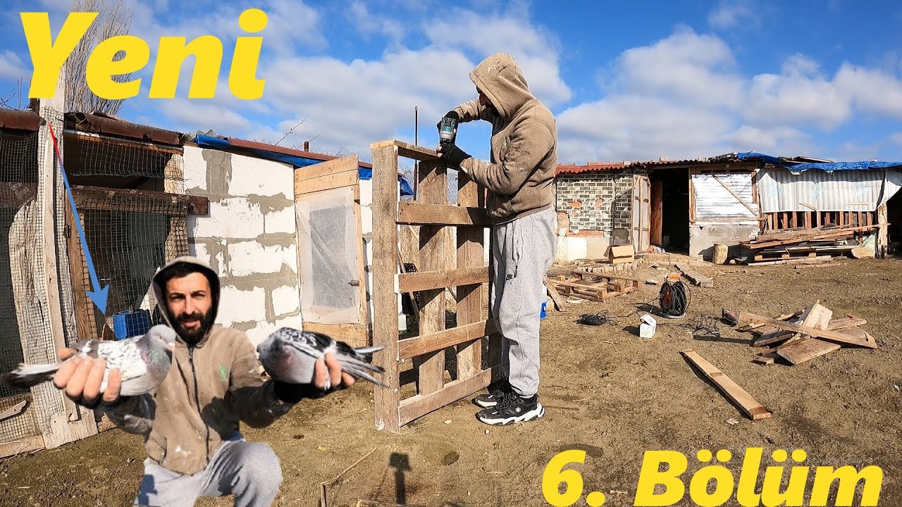 6.Bölüm-/Yeni Güvercinler Geldi!-Follukları Büyüttüm!-Güvercinlere Bilezik Aldım!*#güvercin #tavuk