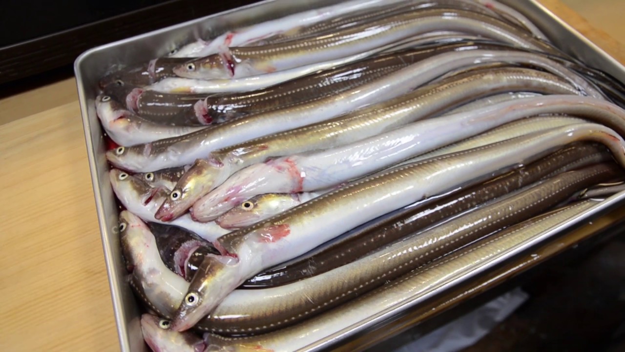 寿司職人による穴子の仕込みから握りまで〜How To Make Eel Sushi〜