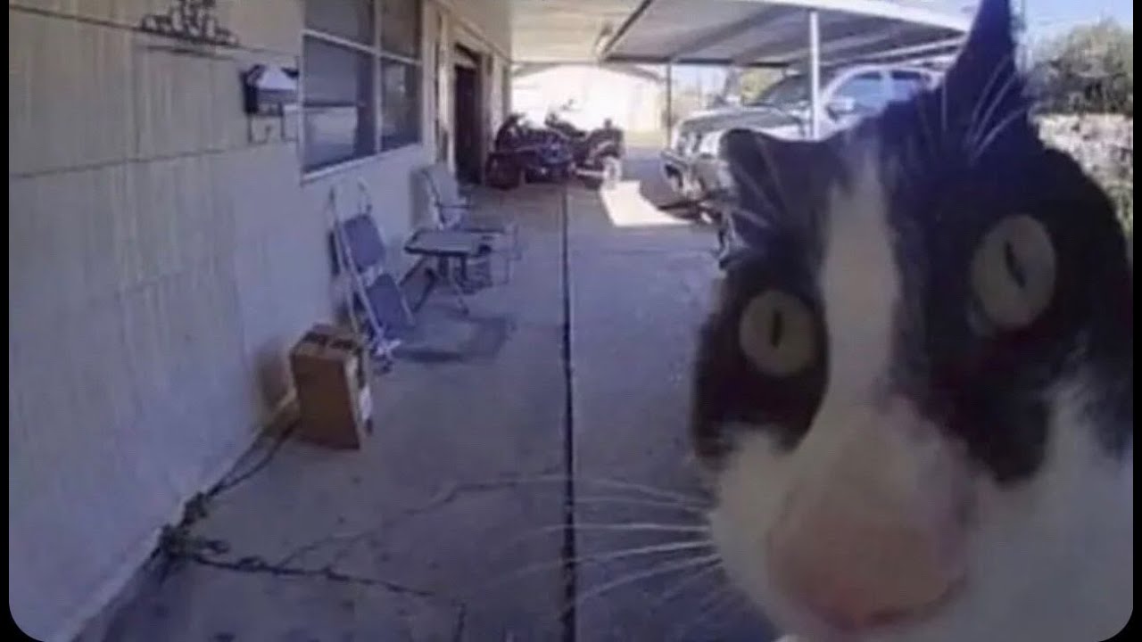 Kappa 100% (Extreme demon) By Armadeus