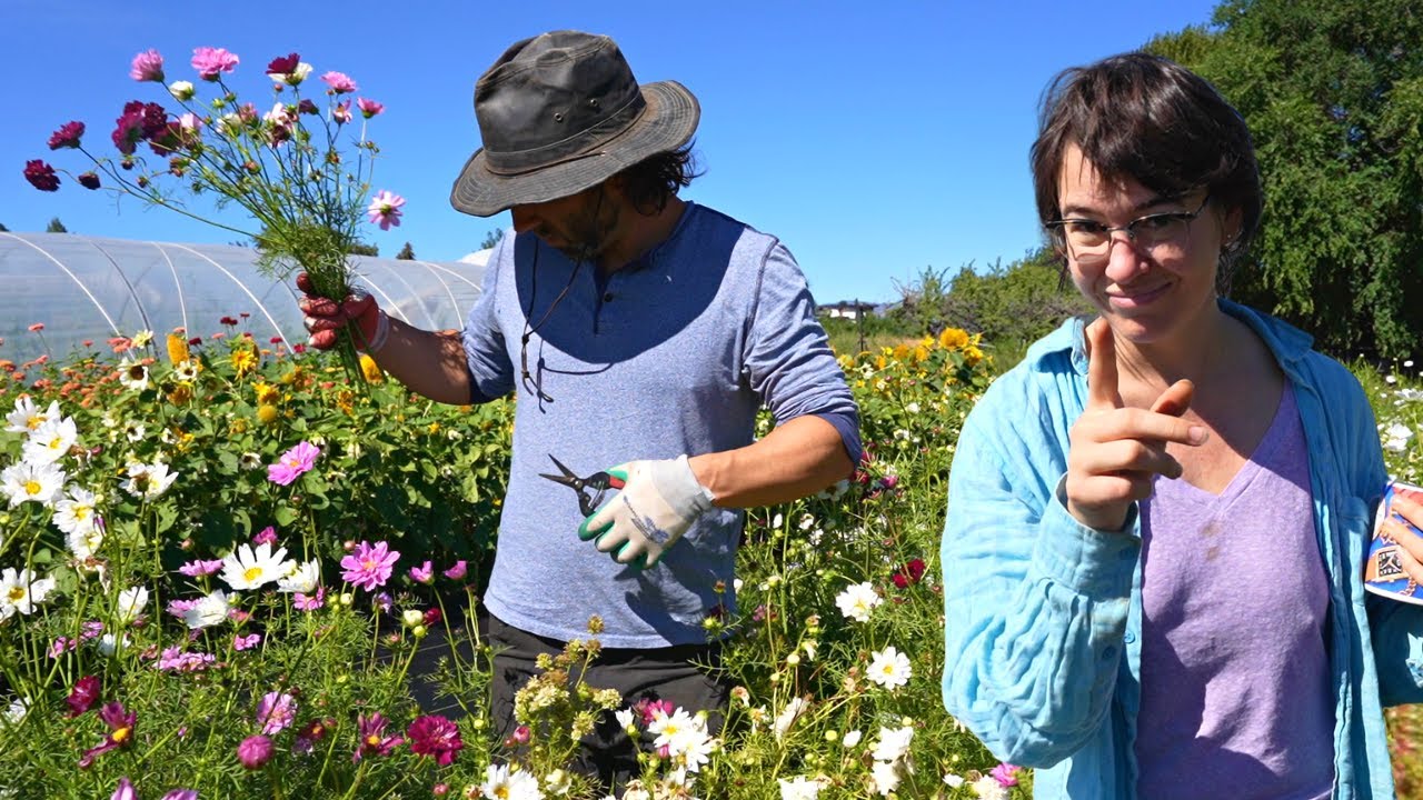 Ian Goes To Flower Farm School