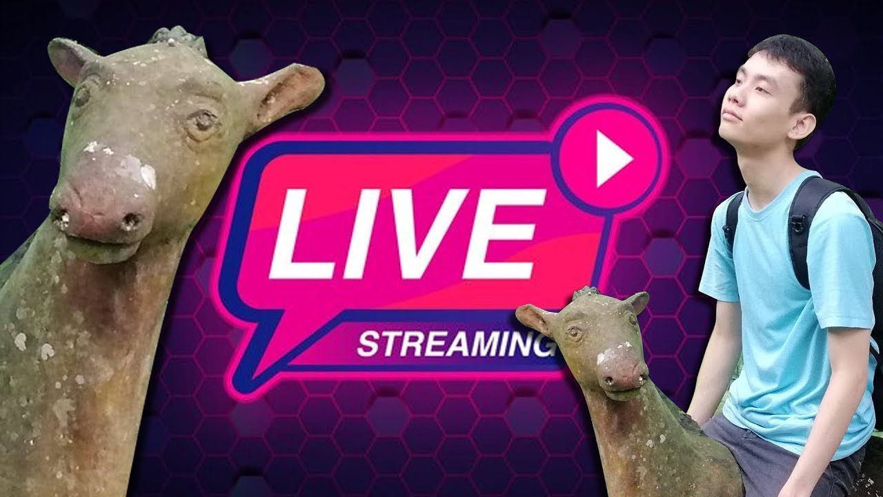 Chăm chỉ live đến tết...