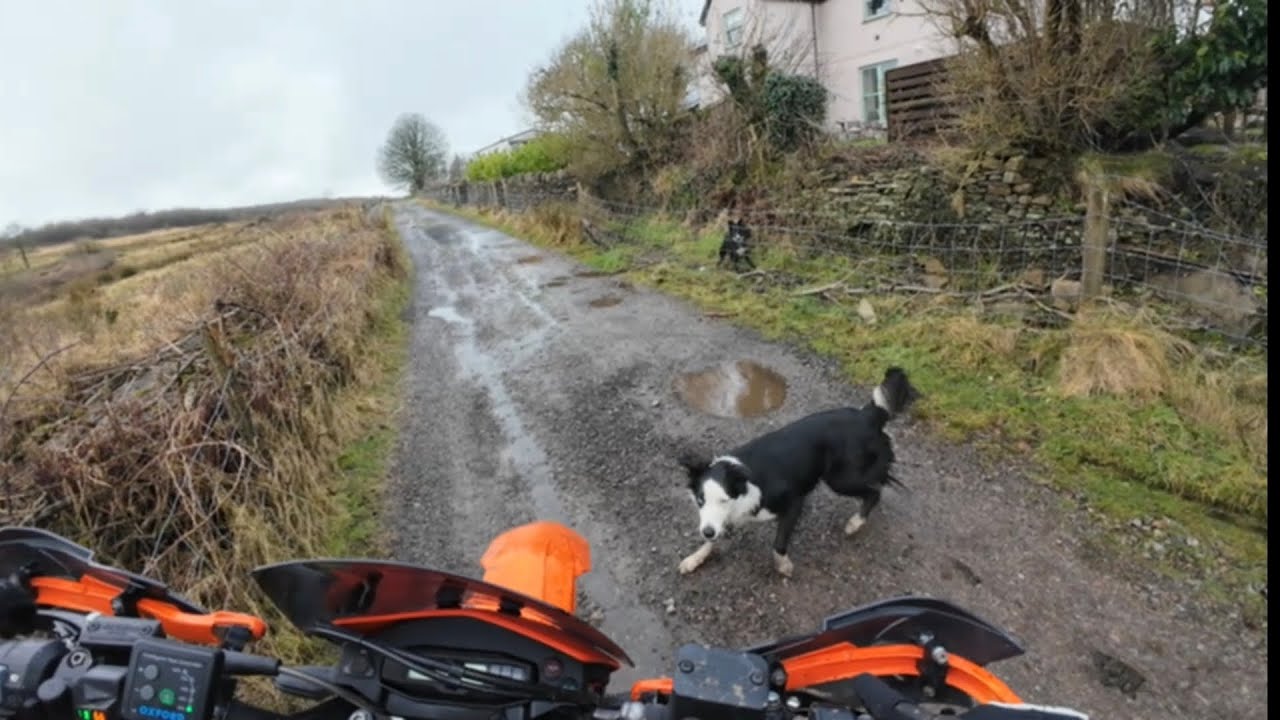 ATTACKED BY ANGRY DOGS! - KTM 690 Enduro R Trail riding in South Wales