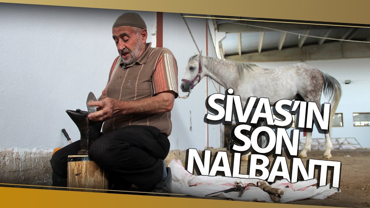 D&uuml;kkana Getirilen At Kalmayınca, Seyyar Nalbantlığa Başladı