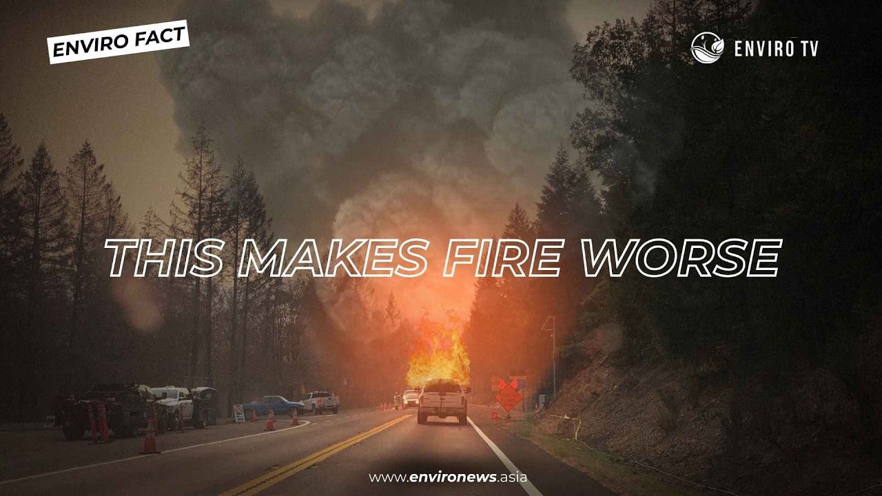 The Fire Triangle That Makes Wildfires Unstoppable